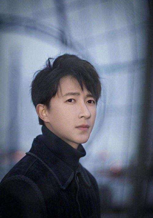 国内男演员名字及照片,探寻国内男演员风采与魅力
